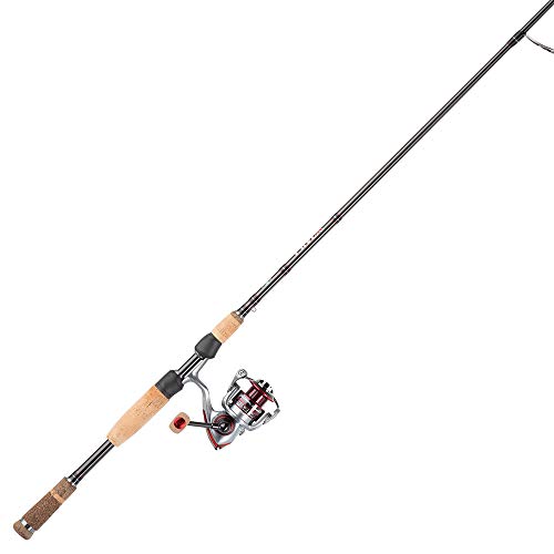 Pflueger Presxtsp40X President Xt Spinning Lightweight Reel W/ 10 Ball Bearings And Braid Ready Spool For Freshwater Or Saltwater Fishing, Size 40 #TOP4