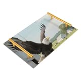 Facile à nettoyer : peut être essuyé directement avec un chiffon humide ou une serviette en papier. Peut être utilisé comme plateau de service, plateau à bijoux, plateau de parfum, plateau de maquillage, plateau de cuisine, plateau à bijoux et même plateau à café. Et mettez-le sur la table comme décoration