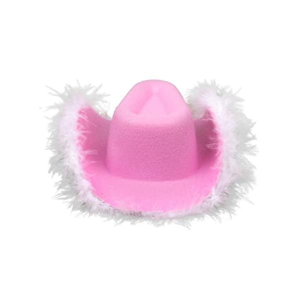 Doggy parton pink cowgirl hat with tiara accent for pets - xs/s (22120705) - image 4