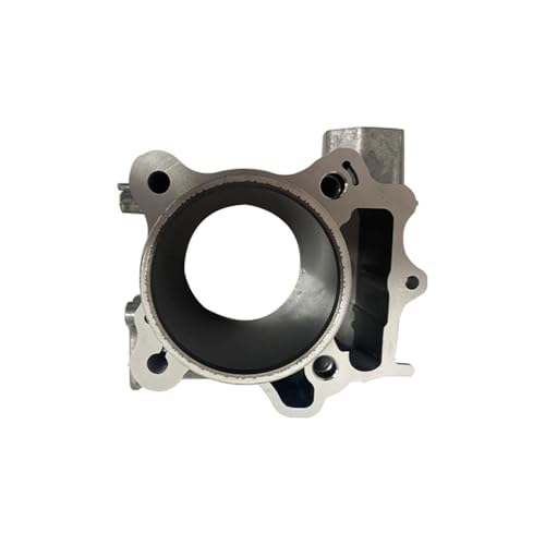 Cylindre d'assemblage moto 77mm avec kit piston joints pour NSS350 - 5