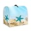 Blue Starfish Conch