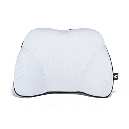 Castle Squire Firm Memory Foam Lower Back Backrest - Dense Foam Padding Lumbar Support Pillow for Home, Office, Auto, and Travel (Squire Size, Bone)