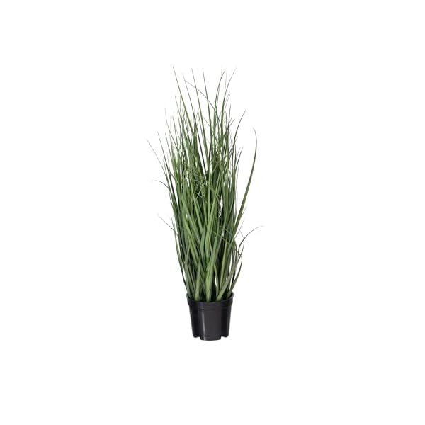 Vickerman 24 everyday artificial green potted ryegrass with black plastic pot faux grass plant decor home or office indoor greenery accent maintenance free  urban country home decor
