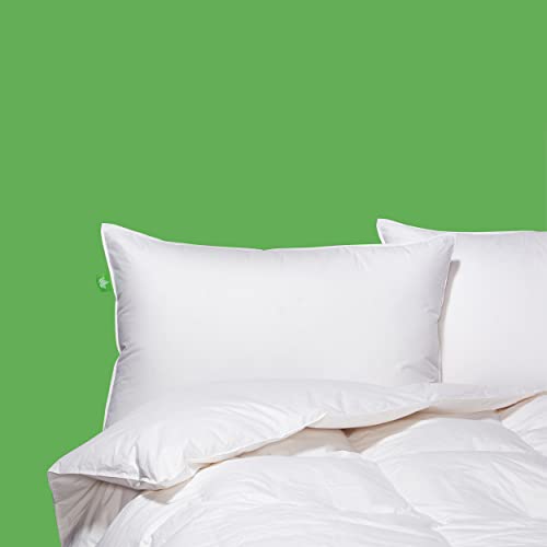 Canadian Down & Feather Co - Firm Support Down Perfect Pillow Queen Size - 255 Tc Shell 100% Cotton - Filled In Canada #TOP4