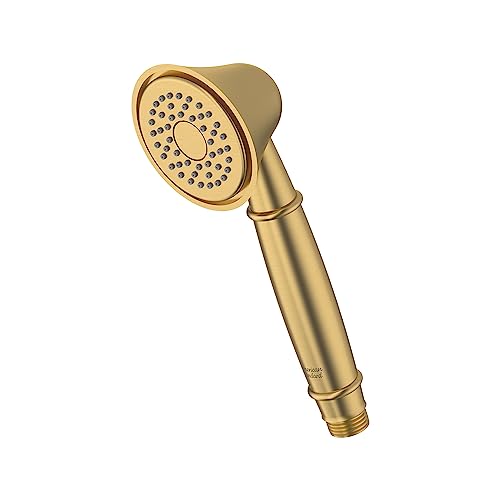 American Standard 1660142.243 Patience ducha manual miniatura 5