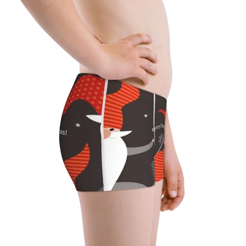Boys' Cotton Boxer Brief Soft Underwear-Christmas Gnomes In Red Hats2