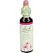 Produktbild Bachblte Pine, 20 ml