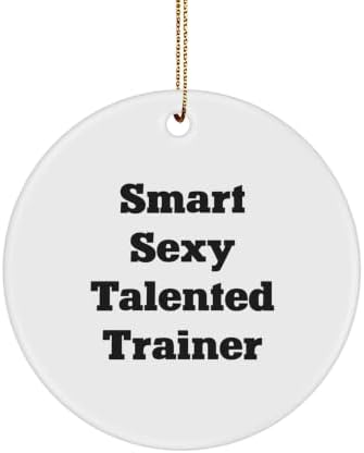 Funny Trainer Gifts from Men, Women, Friends, Coworkers, or Family - Smart Sexy Talented Trainer Christmas Unique Ornaments for Trainers, Men, Women, Friends, Coworkers, Family, or Loved Ones image 2