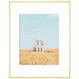 RICHFOCUS 16x20 Metal Picture...