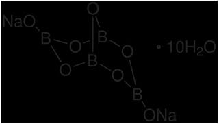 MP Biomedicals 02190308.5 Borax, 500 g