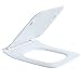 Produktbild Eridanus, Serie Haru, Thermoplast WC-Sitz, Eckig Toilettensitz mit Absenkautomatik, Antibakteriell