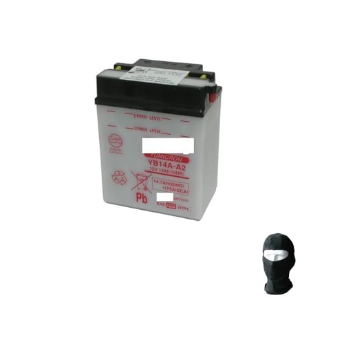 Compatible avec Polaris Trail Boss 330 2003-2010 Batterie YUASA YB14A-A2 12V/14AH Batteries pour DEMARRAGE Moto Scooter Quad SPECIFIQUE Deja Pret