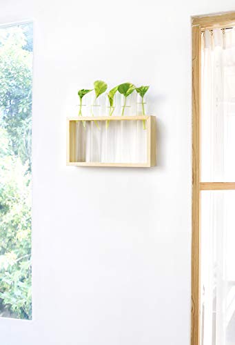 Mkono Wall Hanging Plant Propagation Station 5 Tubes with Wooden Stand Desktop Plant Terrarium for Hydroponic Plants, Home Office Decor Planter Gardening Gifts, Beige