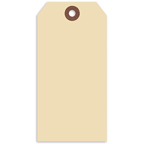 Merangue 1000 Pack Shipping Tags, Size 6, 5-1/4-Inch by 2-5/8-Inch (1024-4120-00-000) by Merangue - Used condition - CA$21.93