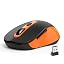 AT258-Orange & Black