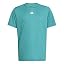 Pure Teal / White