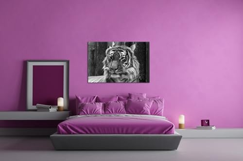 Cadre bois véritable tigre 90 x 60 cm deyoli art mural noir et blanc captivant - 3