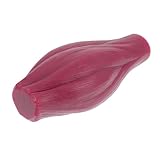 Alipis Modelo Muscular Didáctico De 1 Libra Sin Base, Réplica Anatómica Del Cuerpo Humano Colores Brillantes y Textura Realista Para Enseñanza y Exhibición