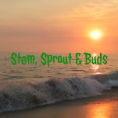 Getting Flash'd, Love Your Body.. It's Art @opaltattoostudio