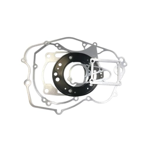 Motor de dos impulsos DT230 MT250: junta de cilindro para caja de embrague 3