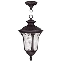 Algopix Similar Product 19 - Livex Lighting 785407 Oxford 1 Light