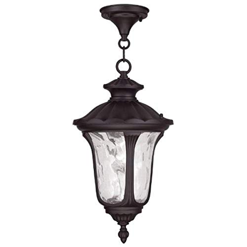 Livex Lighting 7854-07 Oxford 1 Light Outdoor Hanging Lantern, Bronze #TOP18