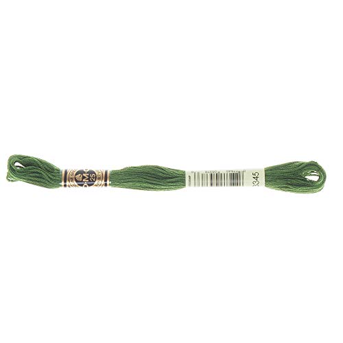 Image of DMC 6-Strand Embroidery Cotton Floss, Dark Hunter Green