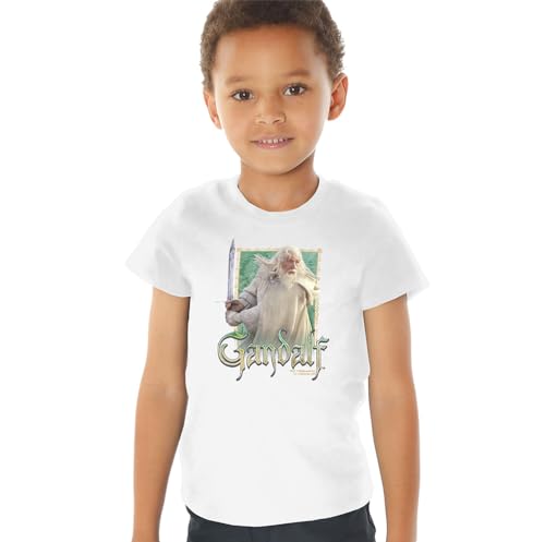 Popfunk Lord of The Rings Characters Collection Kids T-Shirt for Youth Toddler Boys and Girls