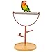 GMBYLBY Parrots Bird Stand Tabletop Training Perch Portable Parrot Play-Stands with Poop Tray for Small Parrots