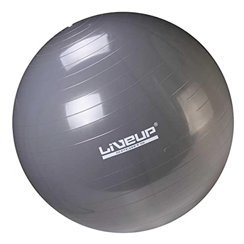 BOLA SUIÇA PREMIUM - 85CM - CINZA