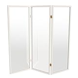 4 ft. Short Clear Plastic Partition White 3 Panel