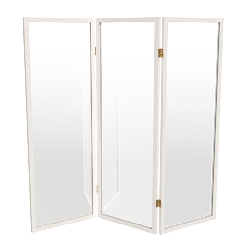 4 ft. Short Clear Plastic Partition White 3 Panel