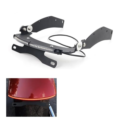 Support plaque d'immatriculation et kit d'élimination queue arrière moto Fury VT1300CX - 2