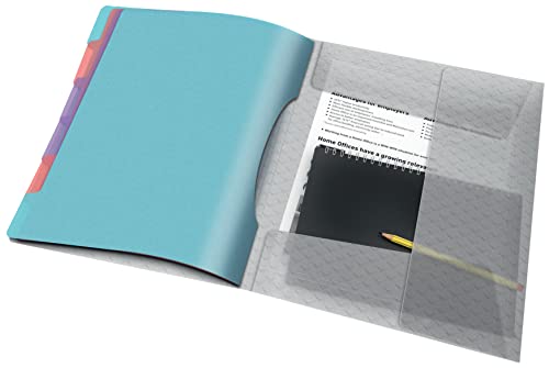 Esselte A4-Projektordner mit 6 Taben, Ordnungsmappe mit Register zur Schreibtischorganisation und Aufbewahrung von Projektunterlagen, Mit Klappen und Gummizug, Colour’Breeze Serie, Mehrfarbig, 626255
