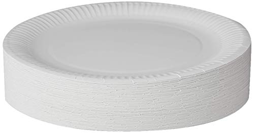 Dina Disposable Paper Plates 23cm - Pack of 100 9 inch Paper Plates, Disposable Plates, Party Plates, White