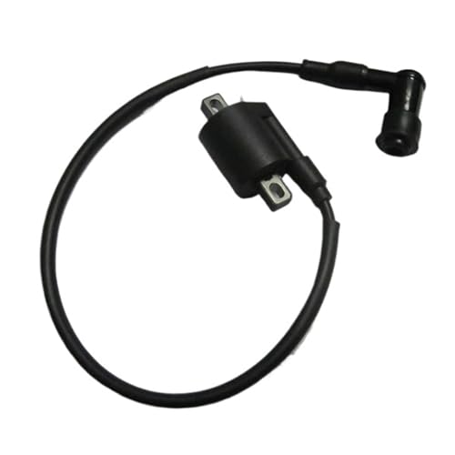 Bobina de encendido para YBR 125 que soluciona los problemas de arranque