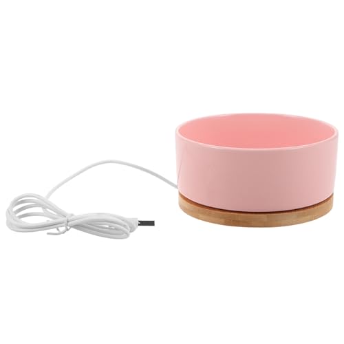 Gamelle chauffante chat alimentation USB céramique solide