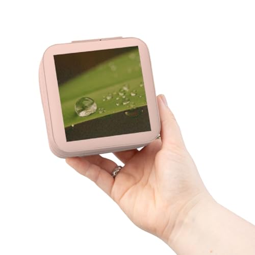 3dRose Water drops on blade of grass, Cape Town, Western Cape, South Africa. Jewelry Travel Case Pink