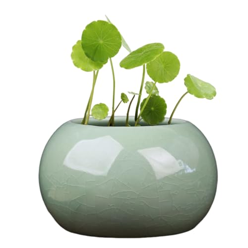 Mini pot de fleurs rond en céramique émaillé pour plantes hydroponiques | Bol à bonsaï élégant | Design anti-fuite | Idéal pour l'ocritoise, les plantes grasses et les petites plantes A