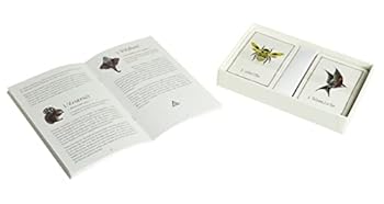 Paperback L Oracle des animaux: Messages de vos animaux totems [French] Book