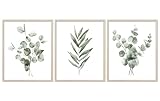 JarThenaAMCS 3Pcs Eucalyptus Leaves Wall Art Prints Watercolor Green Plants Art Poster Minimalist Botanical Boho Room Decor for Home Kitchen Living Room (UNFRAMED 11 x 14in)