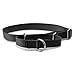 PetSafe Martingale Collar 1" Large, Black