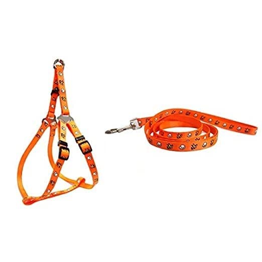 PSK PET MART Animal Print Harness 15 mm RvPaws 15 mm Dog Bone Paw Print Nylon Puppy Harness & Leash Set for Small & Medium (Pack of 1 pcs) Color May Very (B0BPCM9QJB) Amazon Price History, Amazon Price Tracker