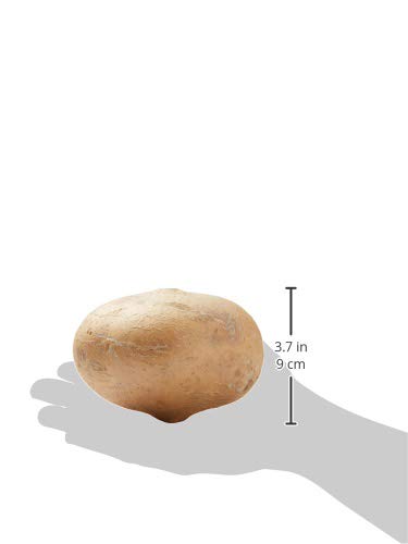 Organic Jicama