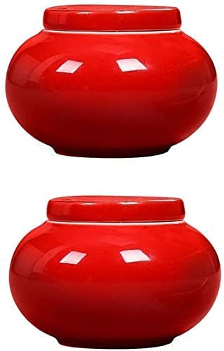 Vase d'urne funéraire de prestige pour le deuil et le souvenir éternel
