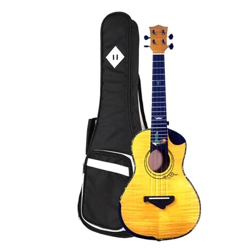 24 C` EN RT[g EN OC Cv gbv dグ J[g XgO(C)