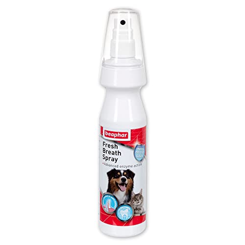 Beaphar Fresh Breath Dental Spray for Dogs & Cats, 150ml