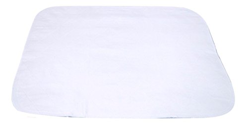 Ultra Waterproof Washable Chair Pad Cover (20 X 22 Inch) For Incontinence - Adult, Children, Or Pet Underpad Seat Protection - Soft Triple Layer Design, 24 Ounce Absorbency By Brightcare Direct #TOP3