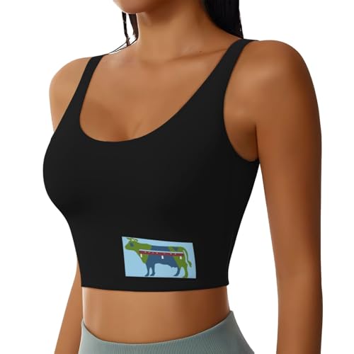 Flag of Cornwall, Connecticut Sports Bras Yoga Gym Stretch