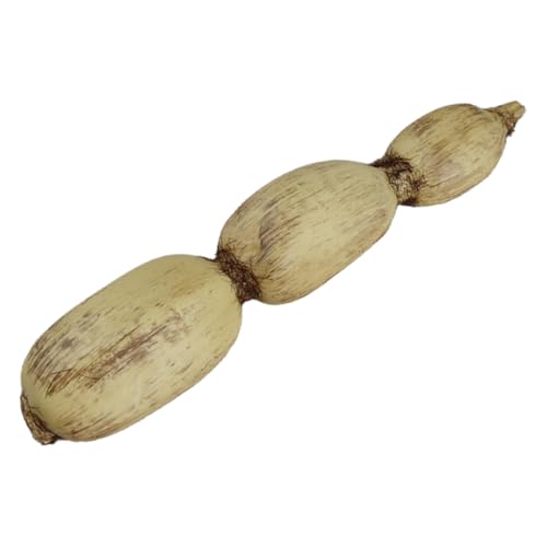 Happyyami AȐlH@f ϋvtFCNxW^u CeABepfBXvC Ƌpru